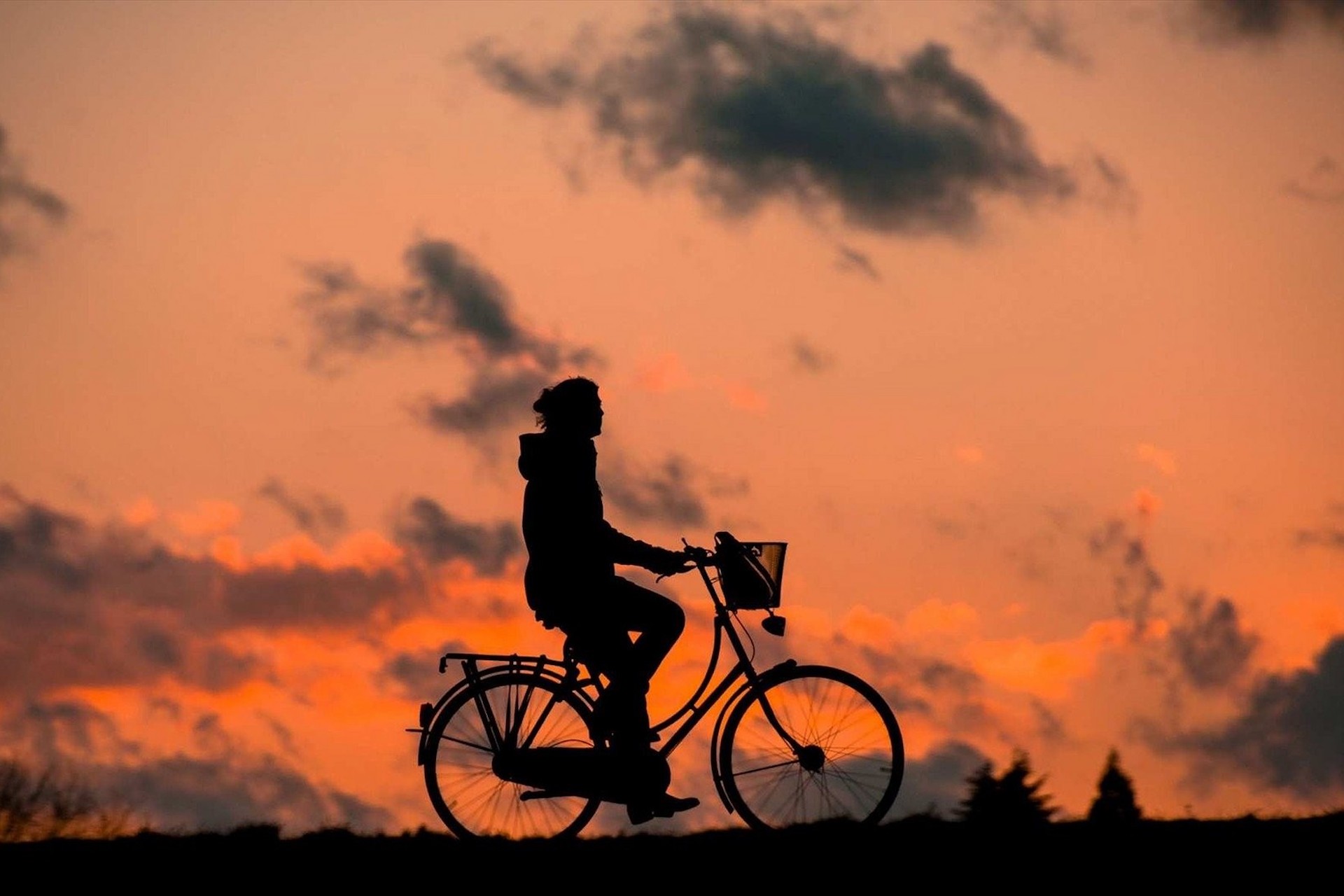 Mit dem Fahrrad Krakau und Umgebung entdecken