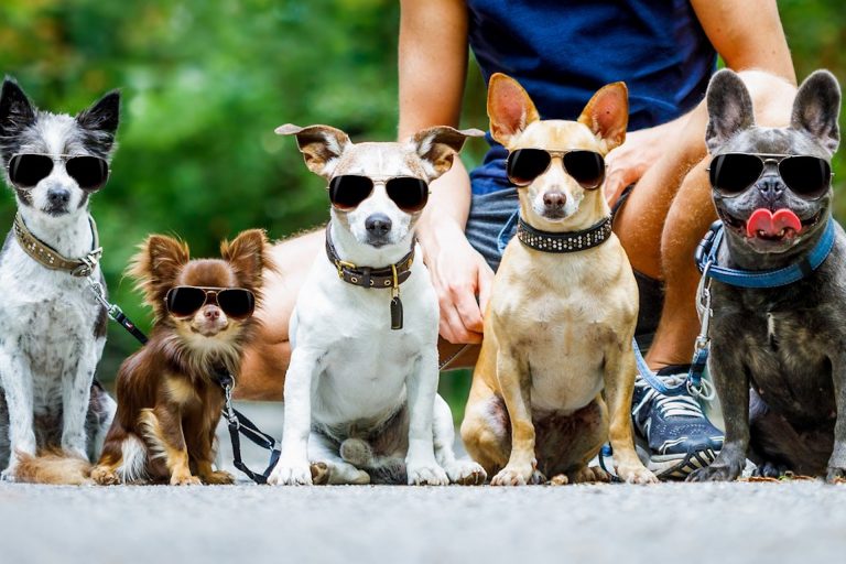 Gruppenurlaub in Polen
